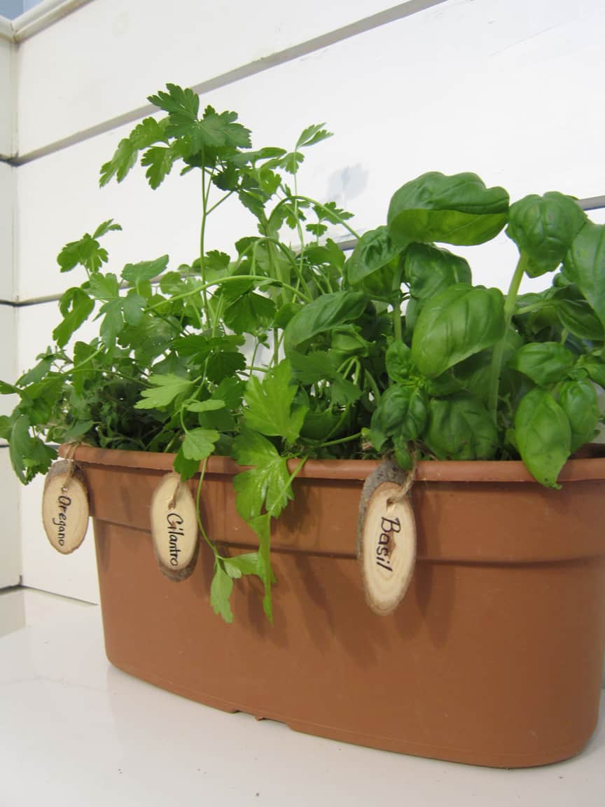 loveshack chic: DIY -- mother's day indoor herb garden