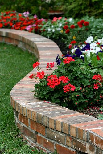 5 Curb Appeal Tips - The Honeycomb Home