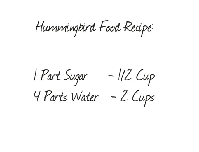 Hummingbird Food Recipe