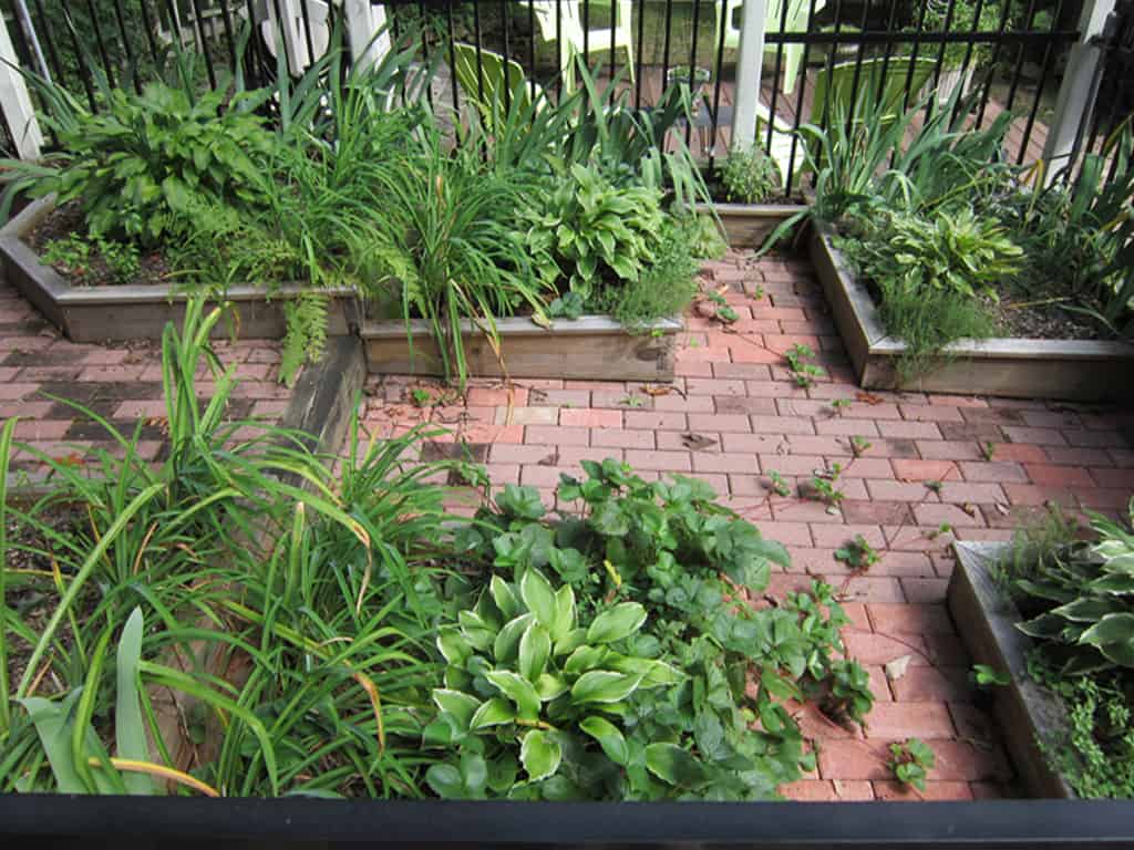 potting shed garden