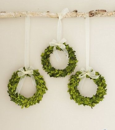 Boxwood wreath trio