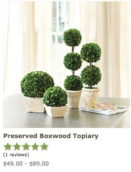 Mini Moss Ball Topiary DIY - Beauty For Ashes