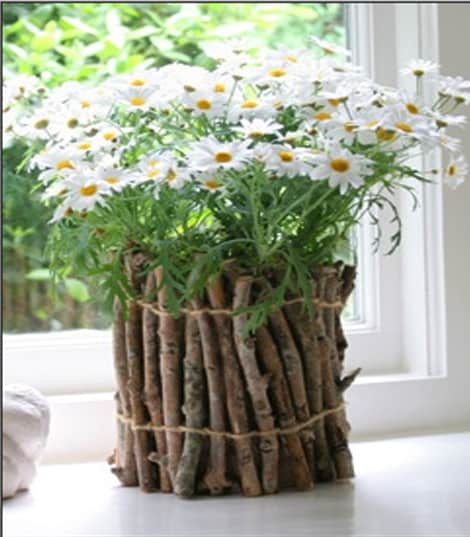 twig vase