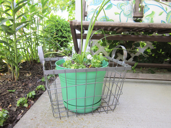 colorful planter