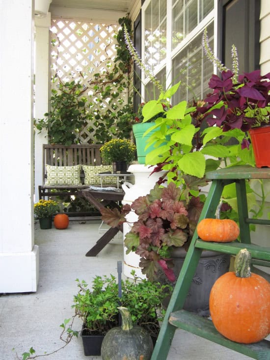 Fall Porch