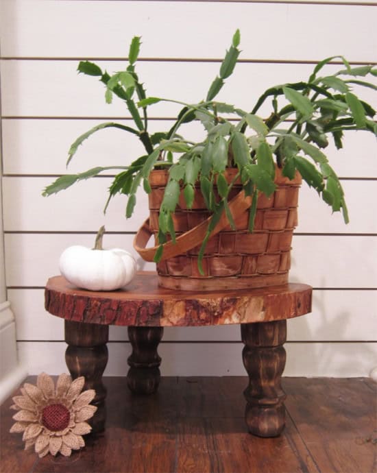 DIY Rustic Plant Stand