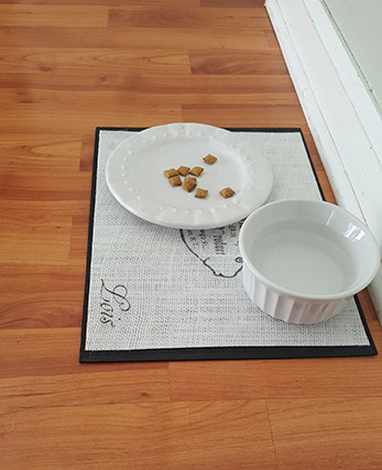 DIY Cat Food Mat