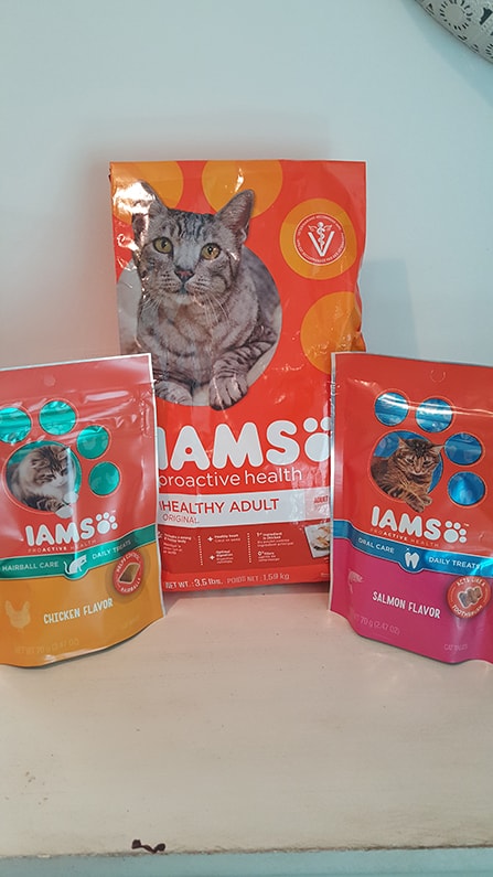 IAMS cat food and treats