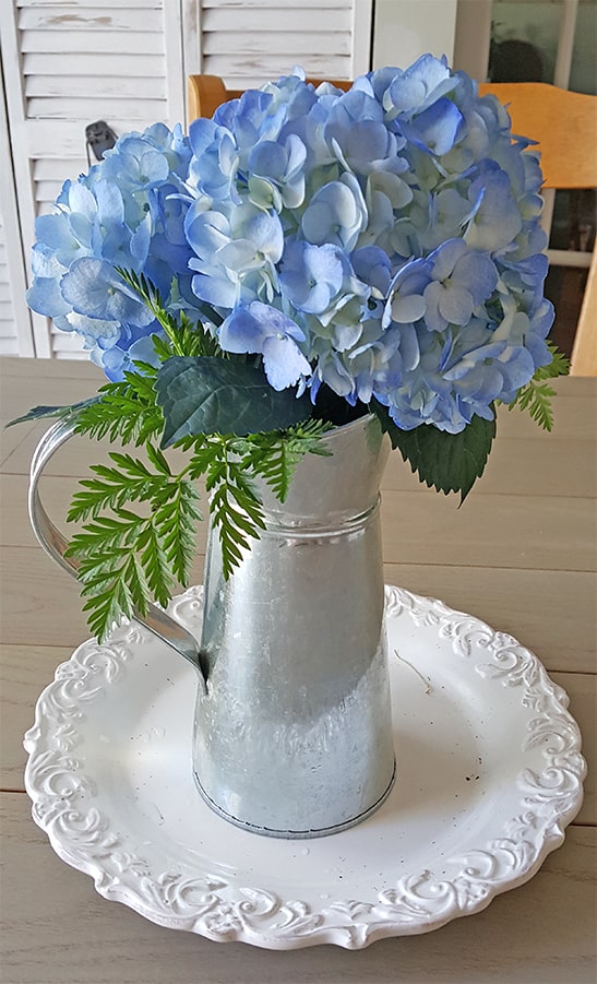 hydrangeas in galvanized pitcher