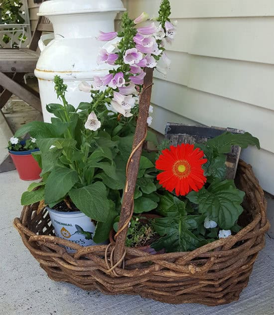 Basket of flowers-front porch