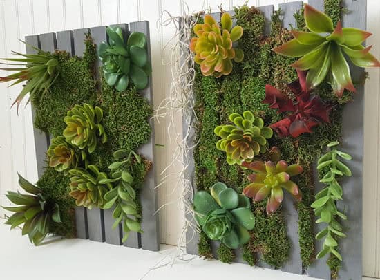 indoor vertical succulent garden