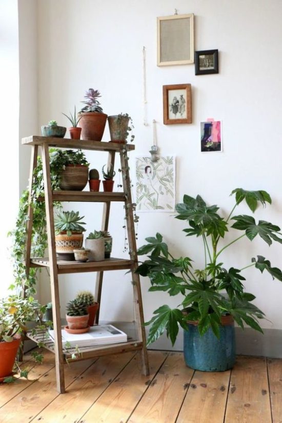 ladder plant stand