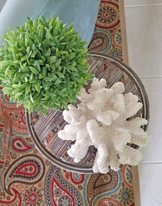 coastal accent decor coral