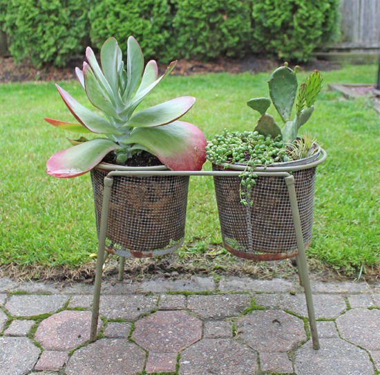 Giant succulent killie pot planter