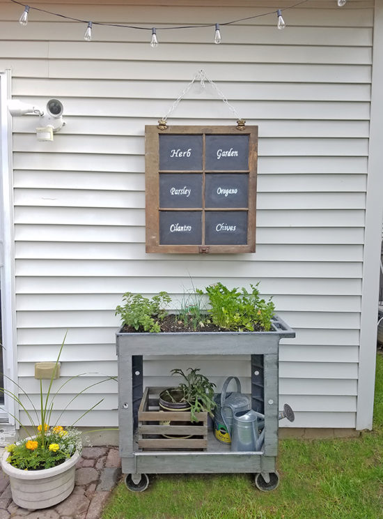 Herb garden for small spaces