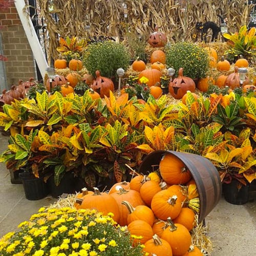 fall flower bed ideas