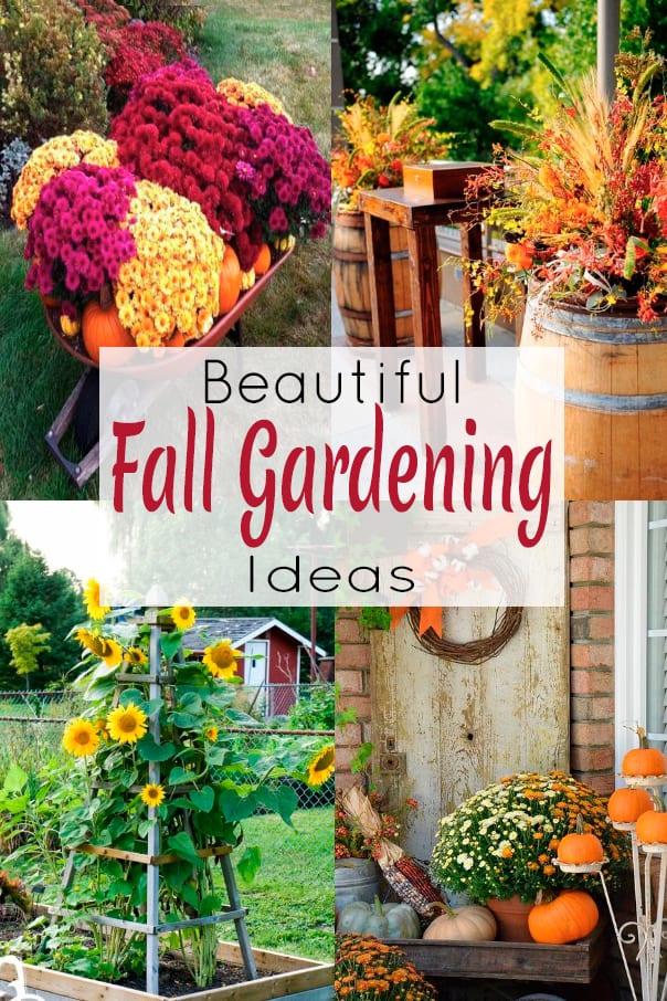 11 Fresh Ideas for Fall Gardens - The Honeycomb Home