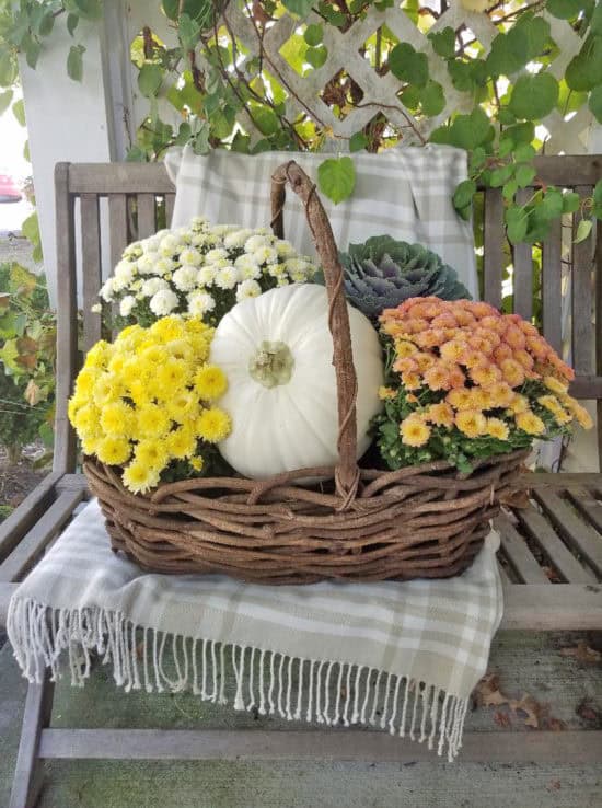 Colorful mums porch decorating ideas, front porch ideas for fall, fall front porch