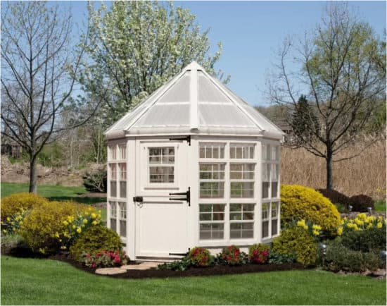 Greenhouse or She Shed? - The Honeycomb Home