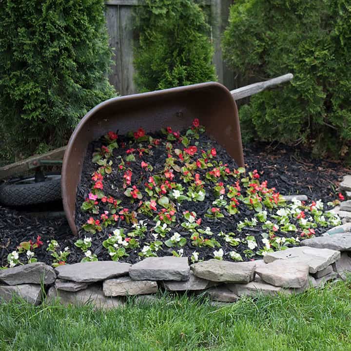 Wheelbarrow Planter the Honeycomb Home