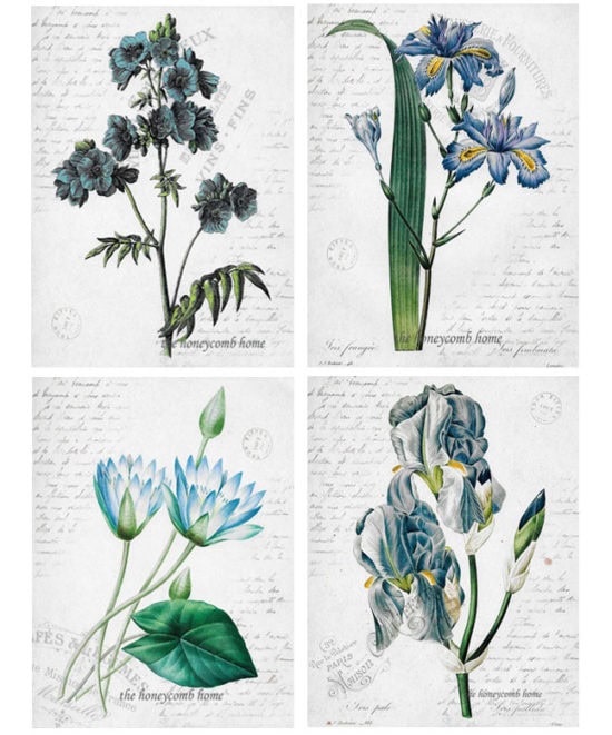 Cheap wall decor online, botanicals, cool wall art, florals