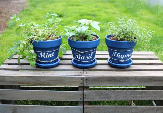 How to Make DIY Herb Pots How to Make DIY Herb Pots