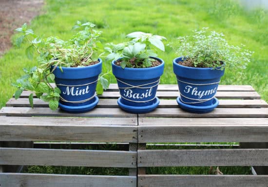 How to Make DIY Herb Pots