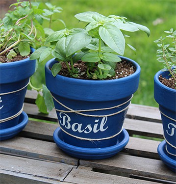 herb garden pots FI
