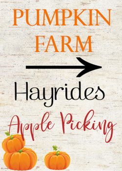 Pumpkin Printables - Free Download - The Honeycomb Home