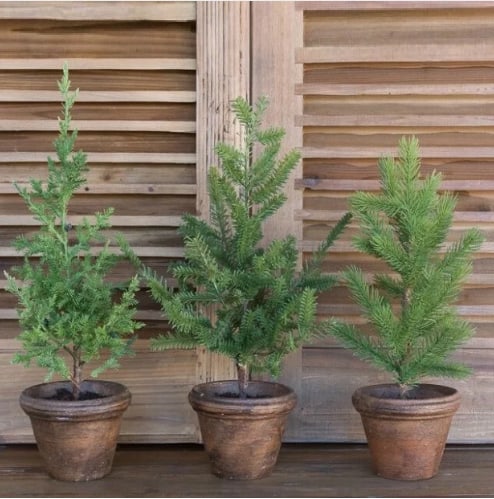 potted Christmas trees, small