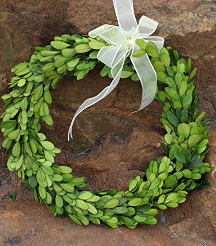 boxwood wreath