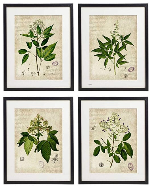 set of 4 botanical prints under $25