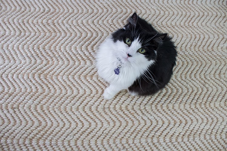 Things to consider when buying a rug pad– Kantara