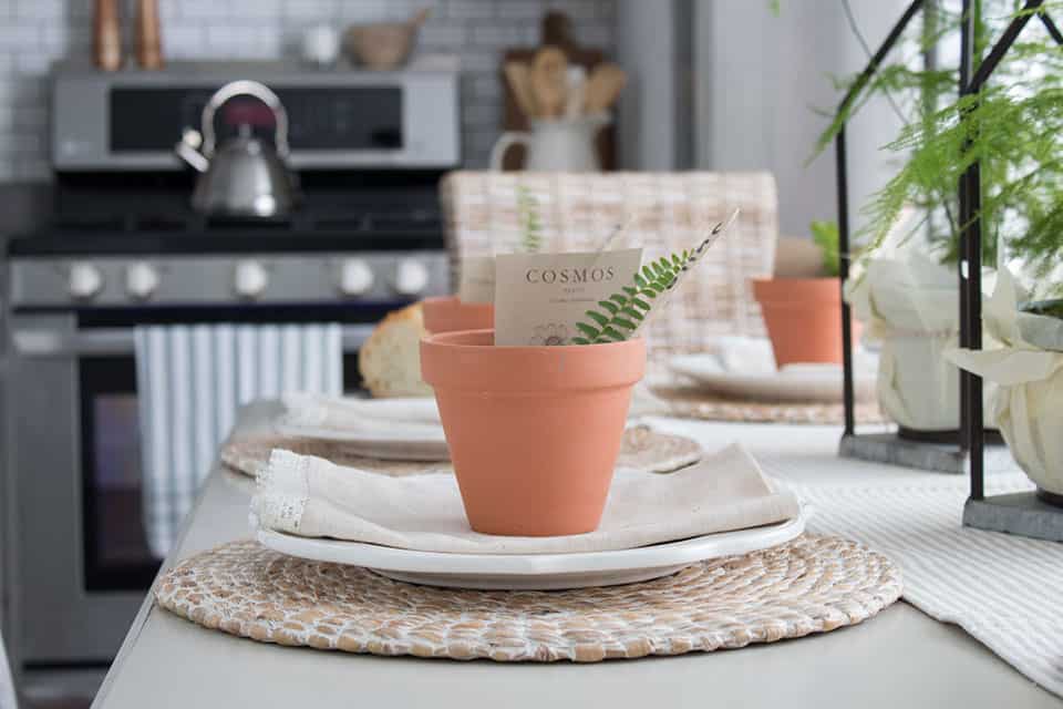 terra-cot-pot-with-seed-packets,-clever-place-settings-for-spring-tablescape