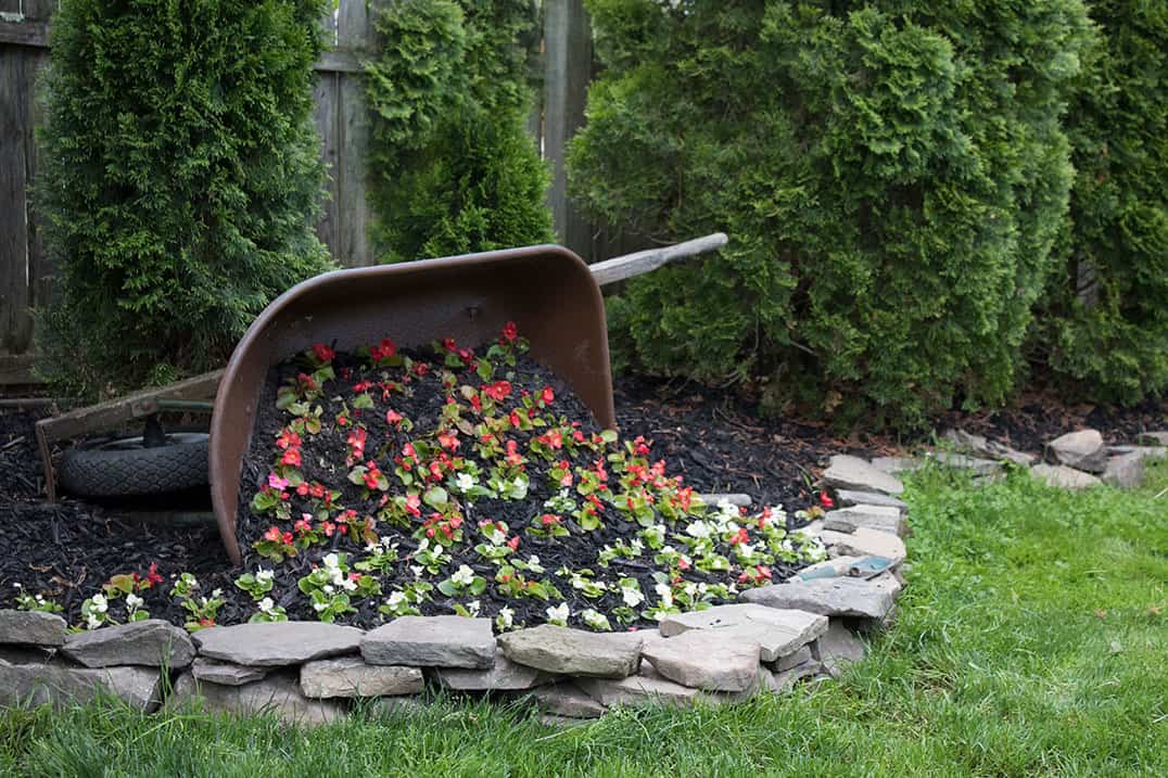 Garden wheelbarrow on sale