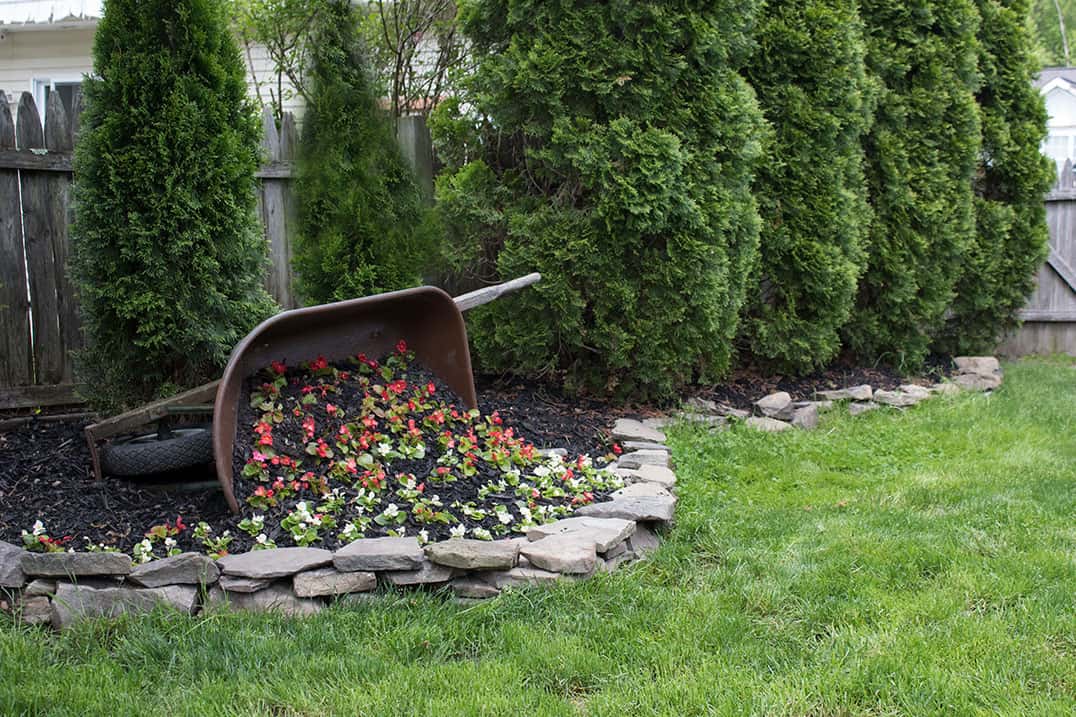 outdoor wheelbarrow planter