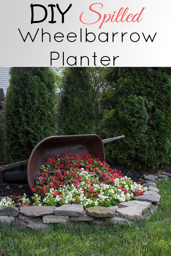 tipped wheelbarrow planter with flowers