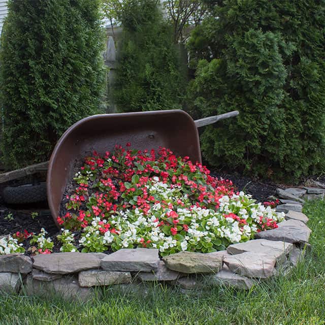 Small deals decorative wheelbarrow