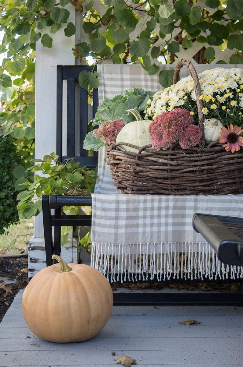 15 Best Fall Front Door Decor - Jolly Paradise