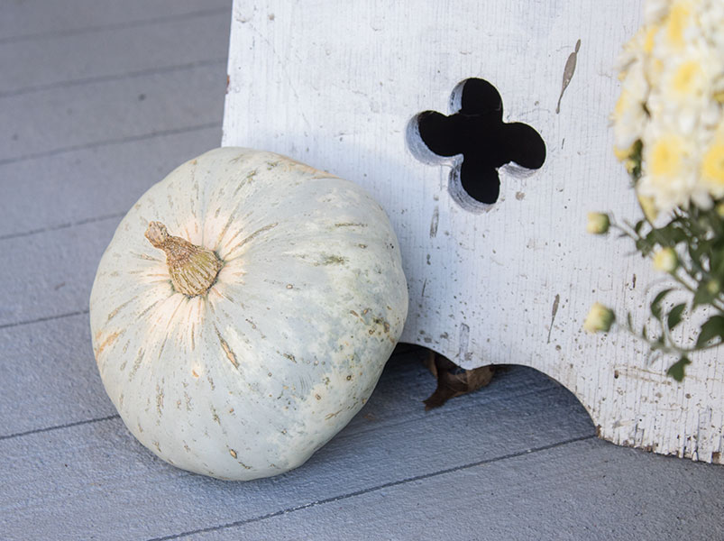 heirloom pumpkins