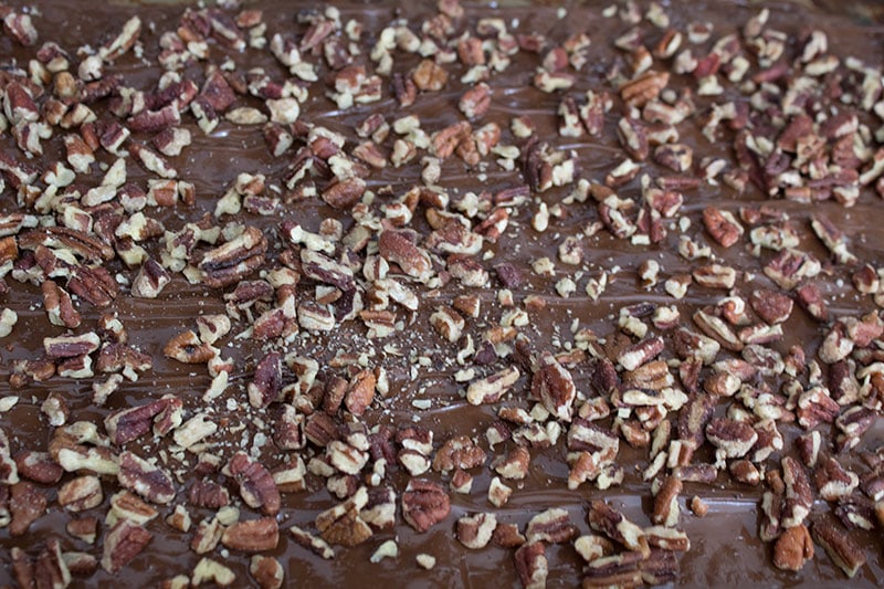 chocolate and pecan Christmas bark cookies