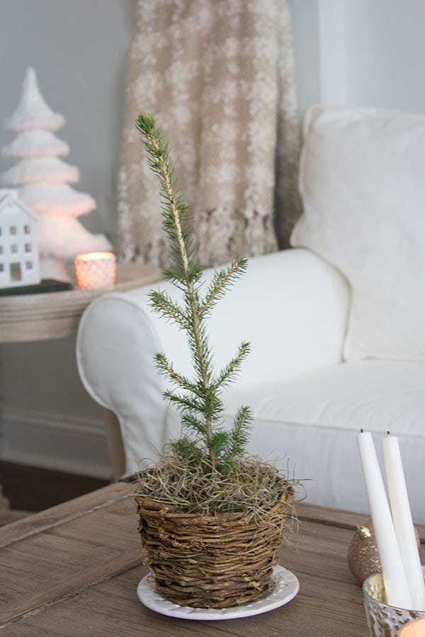 7 Christmas Decorating Ideas in 7 Minutes - The Honeycomb Home