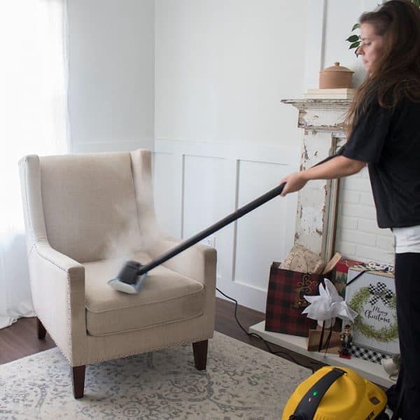 Using a Carpet Steamer to Get Your Home Ready for the Holidays The