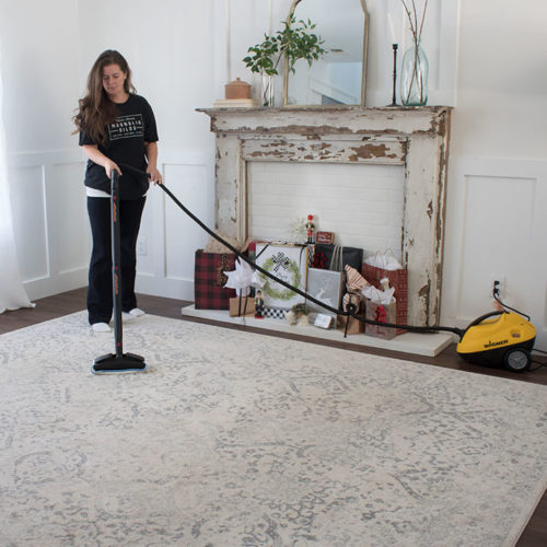 Using a Carpet Steamer to Get Your Home Ready for the Holidays The