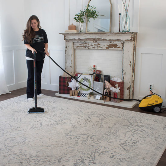 Using a Carpet Steamer to Get Your Home Ready for the Holidays The