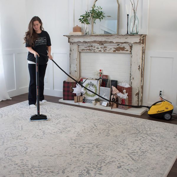 Using a Carpet Steamer to Get Your Home Ready for the Holidays The