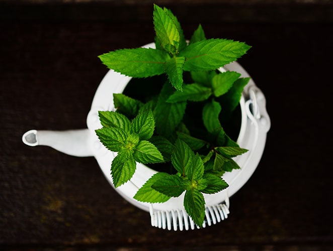 peppermint essential oil benefits for health