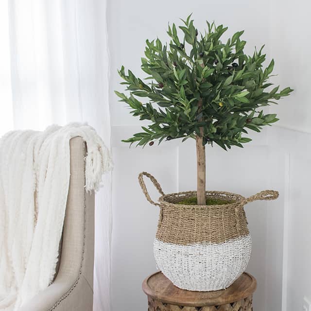 Displaying indoor plants in baskets & the best artificial trees, olive topiary