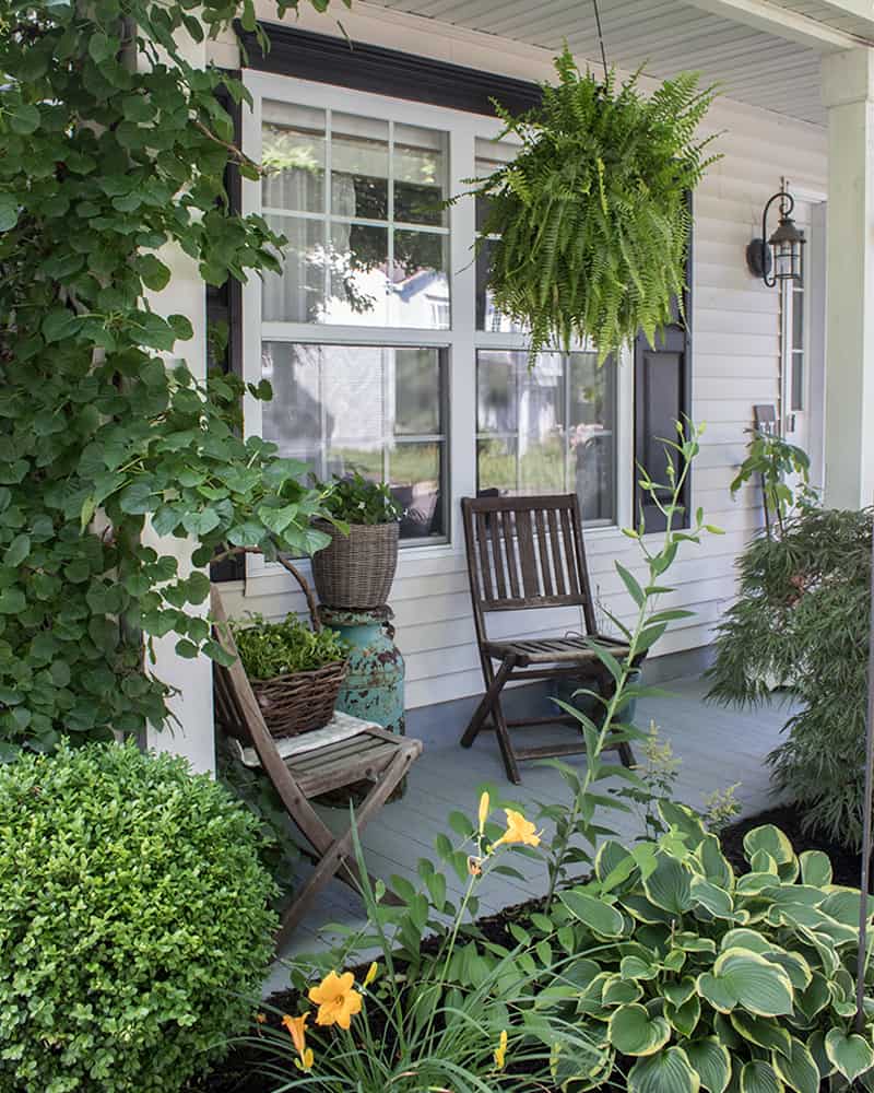 best porch plants