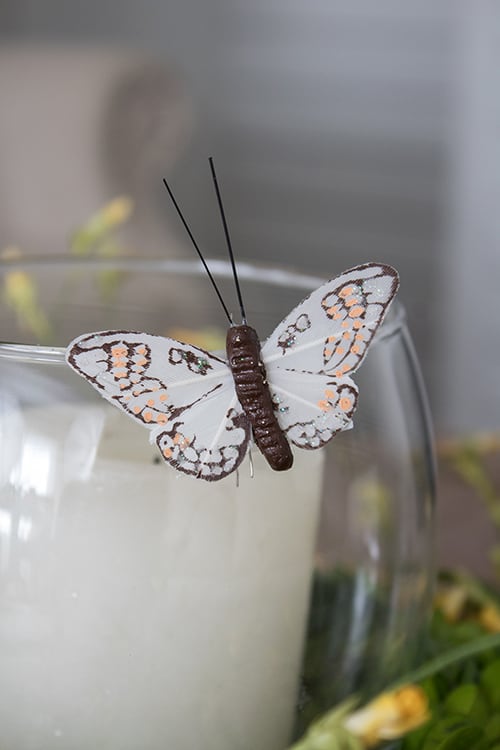 butterfly spring craft
